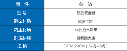 黑色防静电安全鞋参数.jpg